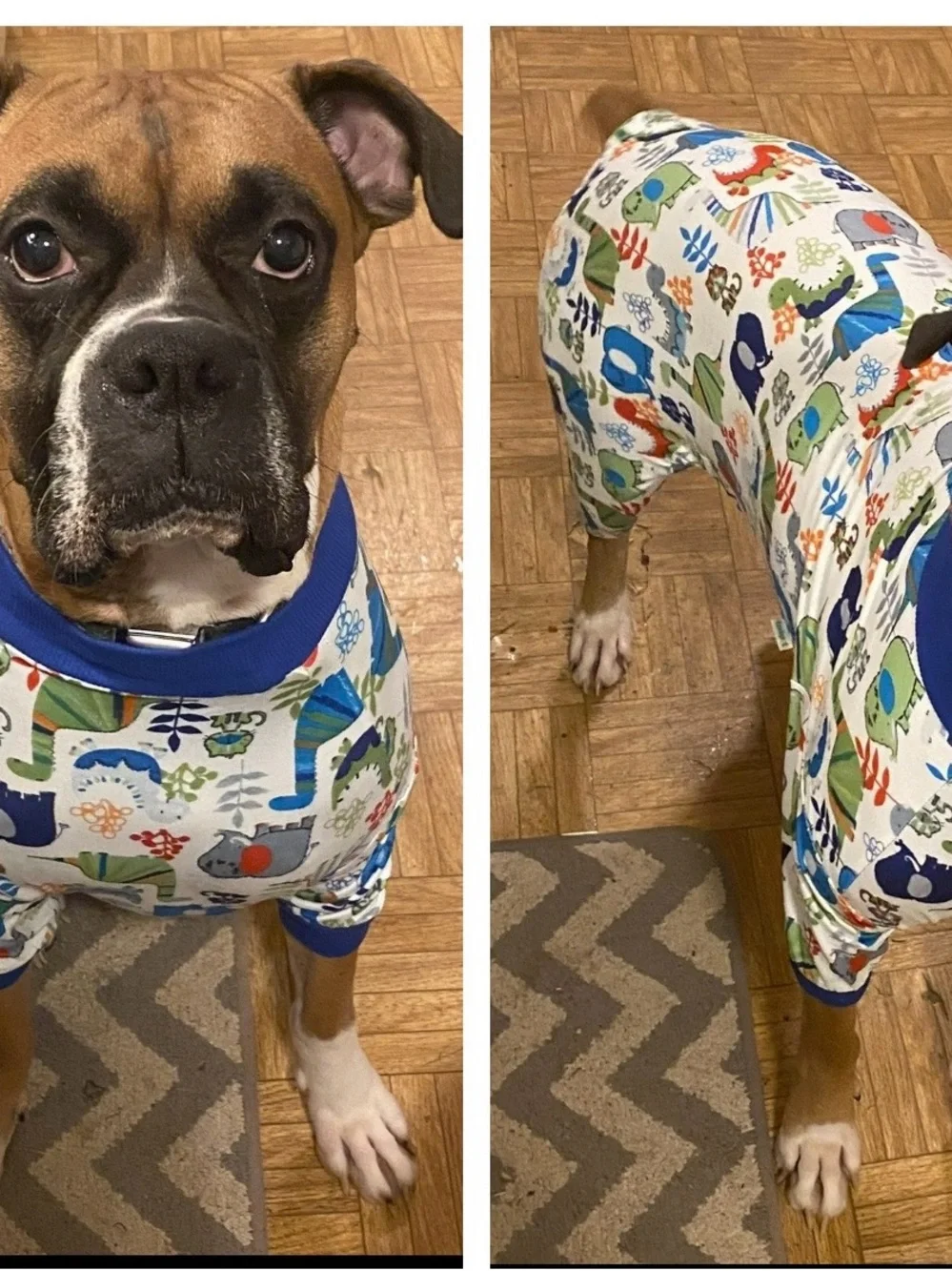 LovinPet Dog Pajamas/Jumpsuits